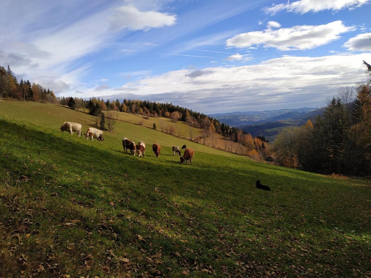 Almbauer Morgenbesser Trattenbach (Lower Austria) Exterior foto