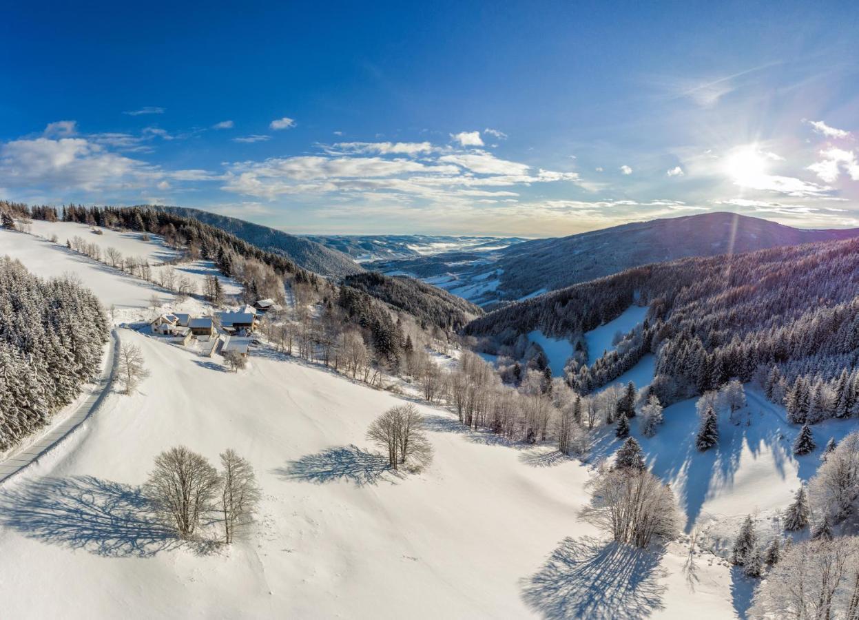 Almbauer Morgenbesser Trattenbach (Lower Austria) Exterior foto