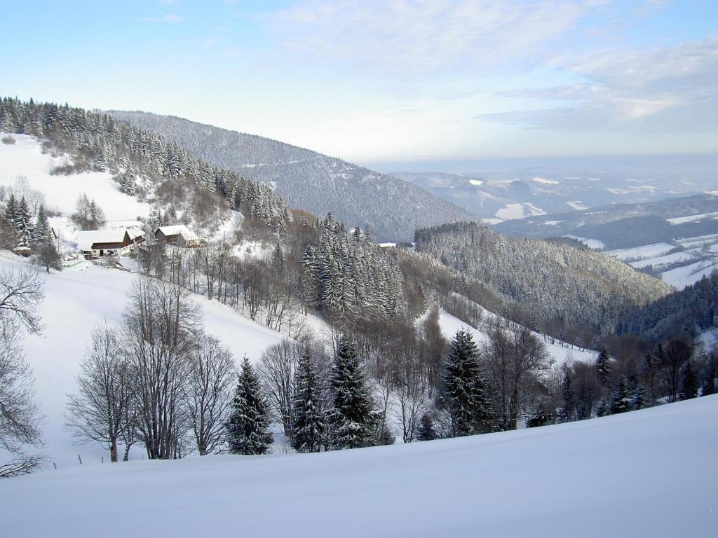 Almbauer Morgenbesser Trattenbach (Lower Austria) Exterior foto
